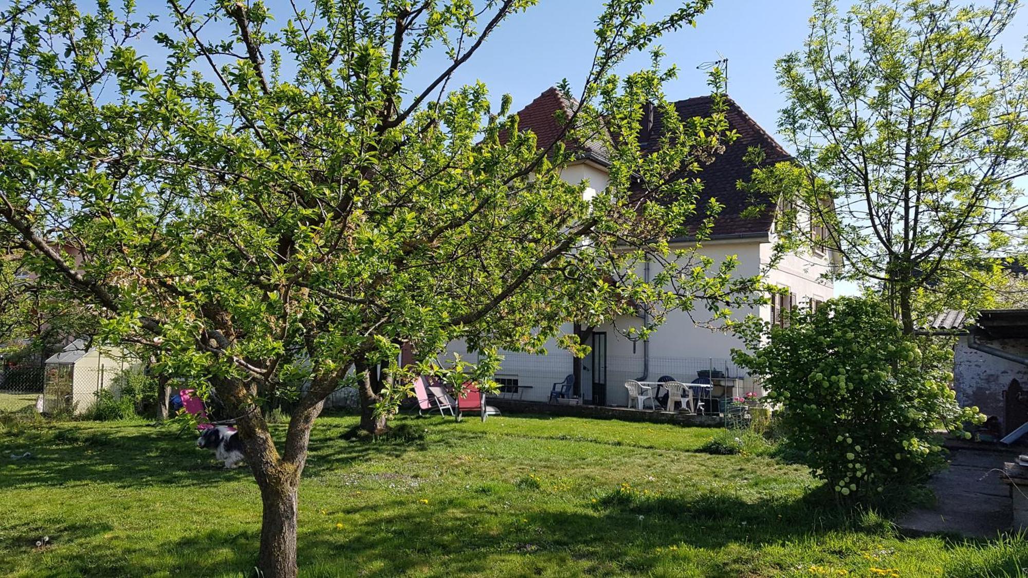 Maison Les 3 Roses * Wolfisheim